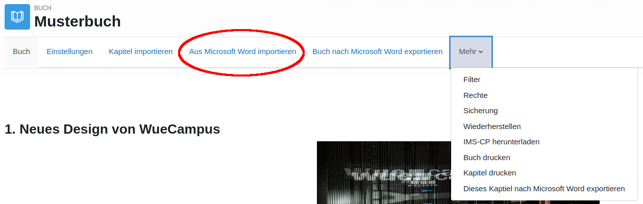 Markierung der Option "Aus Microsoft Word importieren" der Sekundären Navigationsleitste in der Aktivität "Buch"